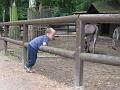 Zoo 03